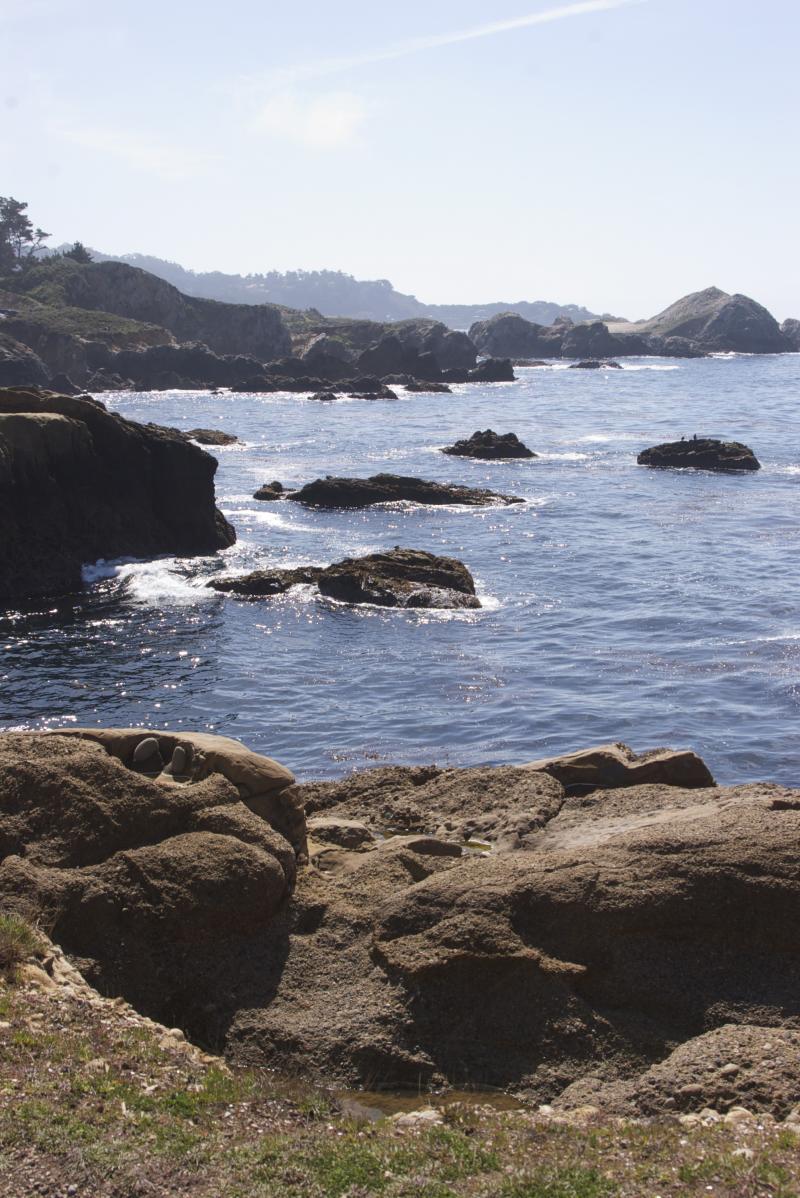 Point Lobos coastline, southward view.