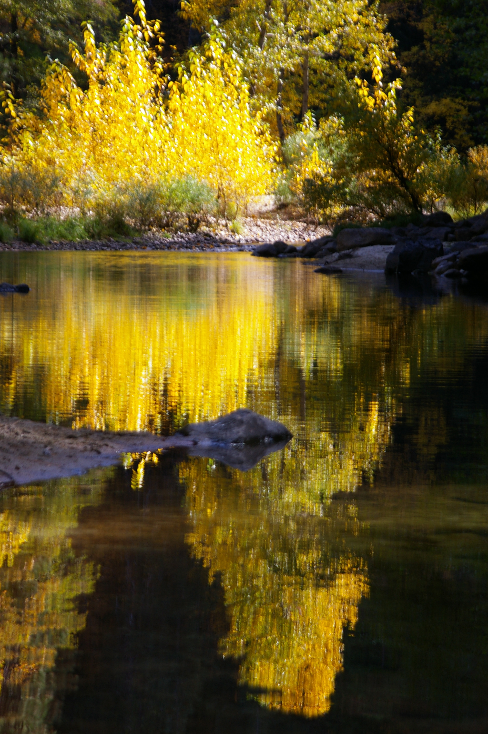Autumn Reflections in Yosemite