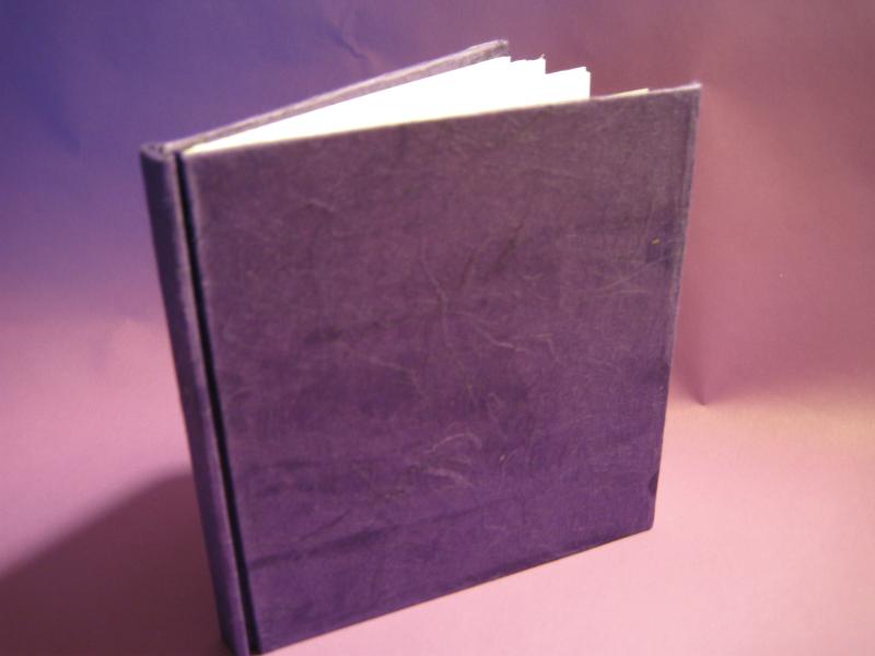 Virginia's Dilemma book-book