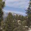 Idyllwild/San Jacinto Mountain Range